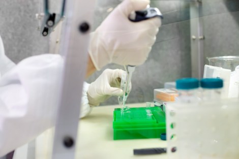 27341865955_eda4aa8e4d_b